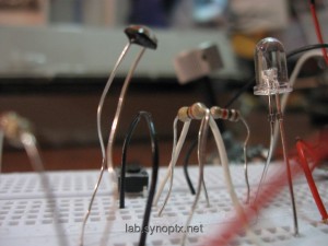 Sensor forest on a breadboard